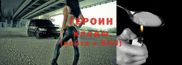 амф Гусев