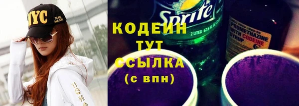 амф Гусев