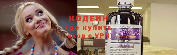 амф Гусев
