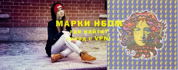 амф Гусев