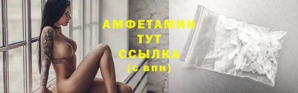 амф Гусев
