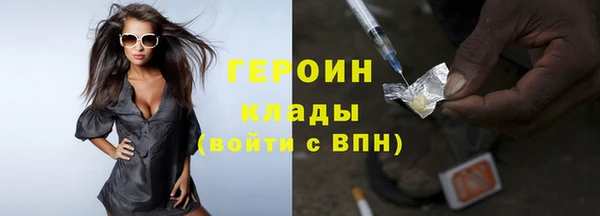 амф Гусев