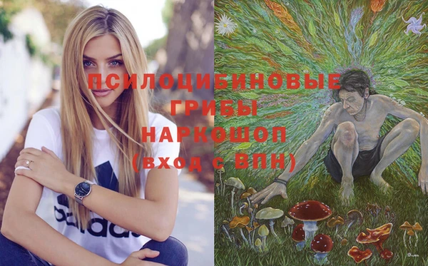 соль ск Гусиноозёрск