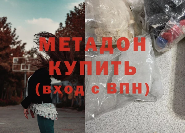 амф Гусев