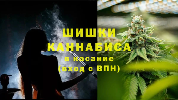 амф Гусев