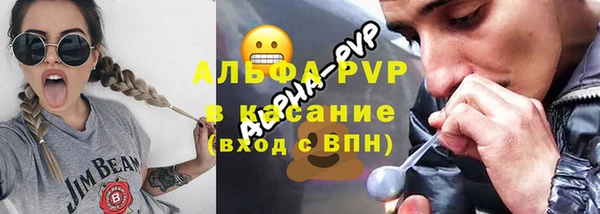 амф Гусев
