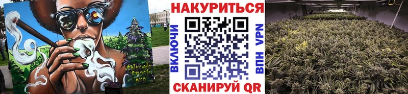 продажа наркотиков  Зеленоградск  МАРИХУАНА MAZAR 